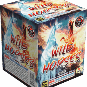 WILD HORSES
