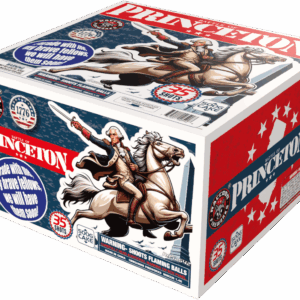 BATTLE OF PRINCETON