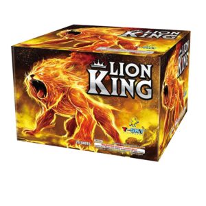 20'S LION KING
