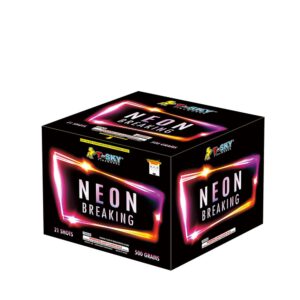 21'S NEON BREAKING