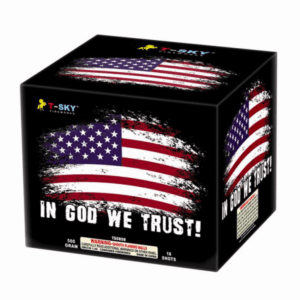 16'S IN GOD WE TRUST